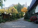 wbgarden autumn 19